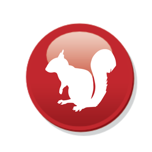 The Ultimate Guide to Pest Control Essex