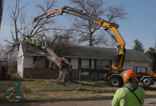 The Secret to a Stress-Free Move: House Removal Companies