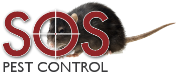 pest control kent
